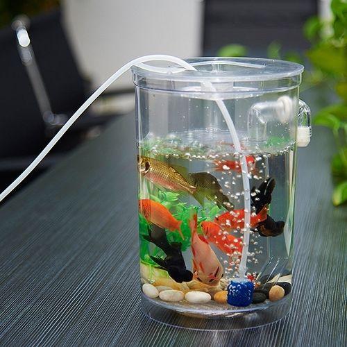 Douyu Fish Tank Tropical Small Fish Self Cleaning Aquarium Desktop Mini Micro Landscape Ecological Tank No Water Change Creative