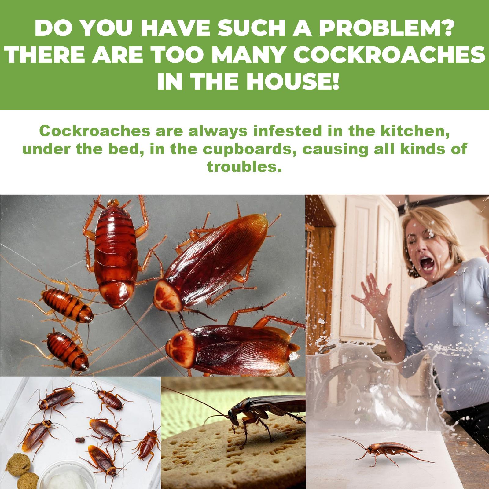 Cockroach repellent for home, dormitory, kitchen, powerful cleaning and cockroach killing agent