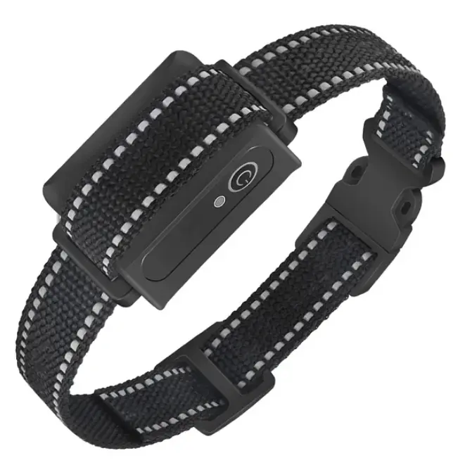 Dog Training Collar Receiver IP67 Waterproof Rechargeable Remote Control 1000ft Range No Shock Safe for Small Medium Large Dogs,LCD,Adjustable,PetSafe,Cat,Treat,whistle,muzzle,Double-Sided,point,bore,indoor,adult cat,,dark,blue,Potty,bark,dete,nylon,strap