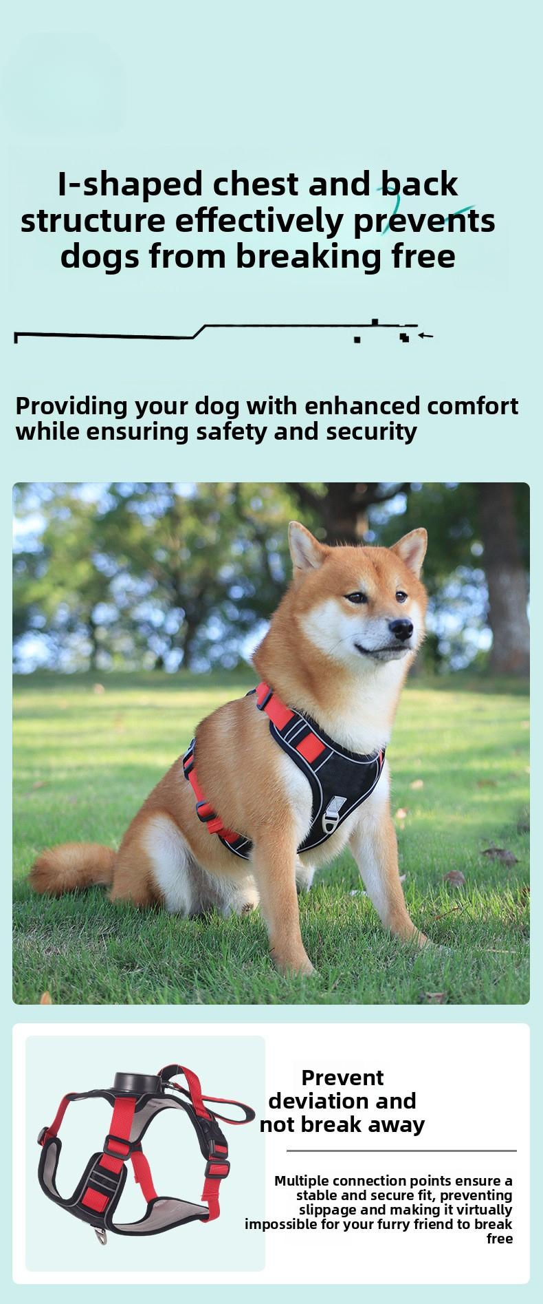 Ditch the Slip-Ups with Flimsy Harnesses! All-in-One Heavy-Duty Dog Harness |   Tear & Pull-Resistant, Ultra-Secure for Big Dogs
