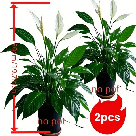 2 Sets Large Outdoor Artificial Greenery, Rainproof Design Tropical Decorative Fake Plants, Fake Plant Decoration, Faux Greenery Plants, Artificial Plants, Ideal for Home Decor, Garden, Hotel, Office & Photo Props