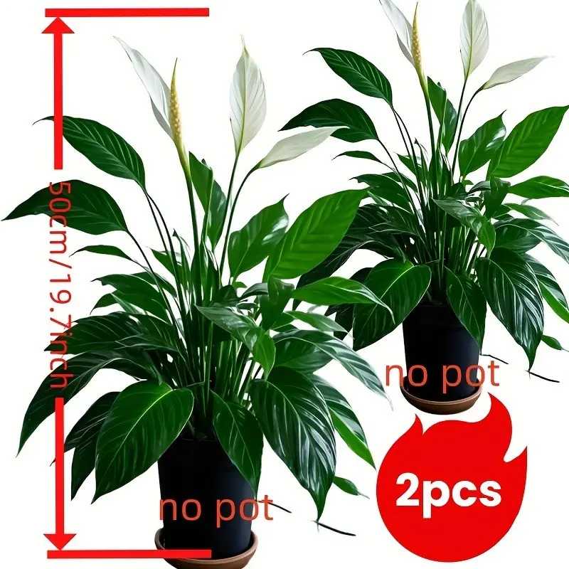 2 Sets Large Outdoor Artificial Greenery, Rainproof Design Tropical Decorative Fake Plants, Fake Plant Decoration, Faux Greenery Plants, Artificial Plants, Ideal for Home Decor, Garden, Hotel, Office & Photo Props