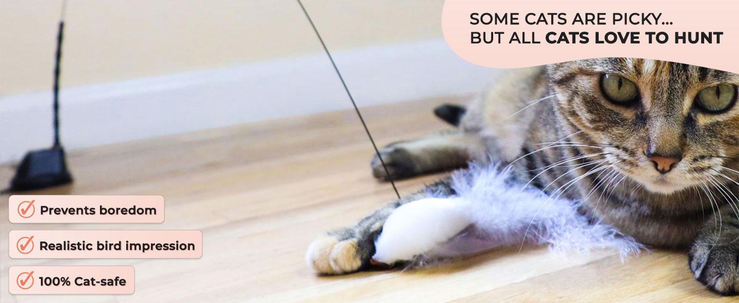 10pcs Interactive Bird Simulation Cat Toy Set, Interactive kitty Toys for Indoor Cats,whisker tons Cat Feather toy,Self-Holding Suction Base, Replacement Birds, Feathers & Bells, Simulated Mouse,Realistic Bird Impression,silvervine stick for 10pcs Interactive Bird Simulation Cat Toy Set, Interactive kitty Toys for Indoor Cats,whisker tons Cat Feather toy,Self-Holding Suction Base, Replacement Birds, Feathers & Bells, Simulated Mouse,Realistic Bird Impression,silvervine stick for