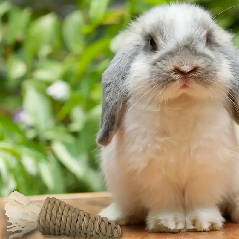 natural water grass handmade braided carrot random color small pet teething toy hamster rabbit chinchilla biting boring toy