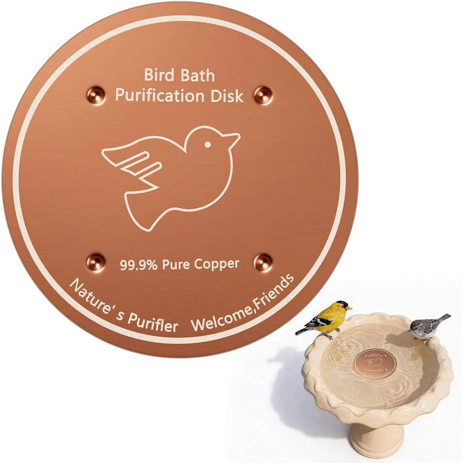 Copper Disc for Bird Bath, 99.99% Pure Bird Bath Copper Disk Plate | Physical Safe Clean Water Purification Disk 0.6mm Reinforced with 4-Point Support for Outdoor Birdbaths Bowl - Use