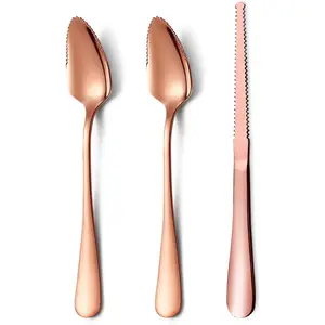 3 Pieces Rose Gold Grapefruit Utensil Set, 2 Serrated Edges Titanium Plating Stainless Steel Grapefruit Spoons and 1 Grapefruit Knife