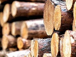 Coat Rack with 8 Hooks, Wooden Coat Rack Freestanding with Shelf, Coat Tree with 4 Height Options 50.5"-72.6", Coat Hanger Stand for Bags, Clothes, Umbrellas, Hats, in Home, Brown