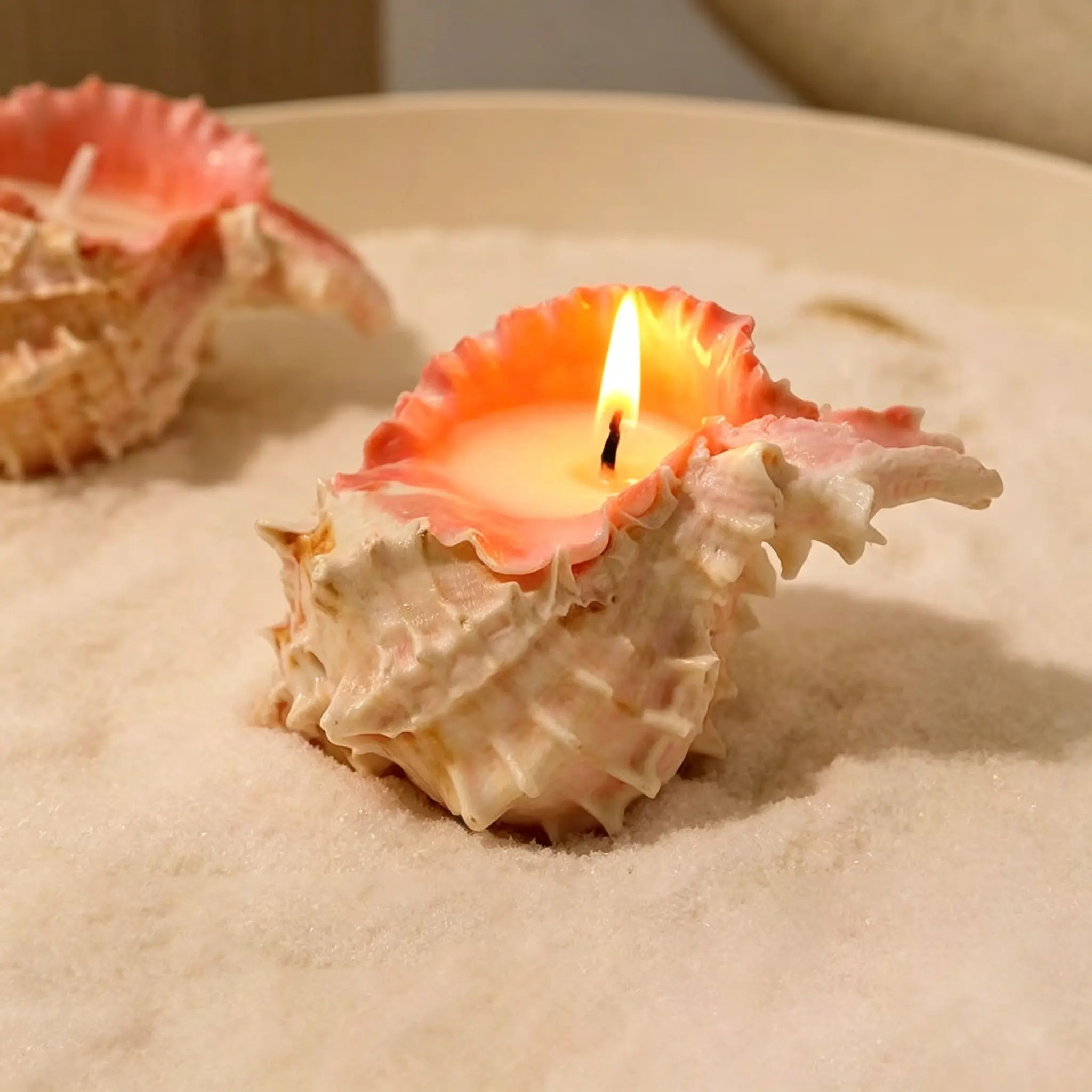 Seashell Scented Candle, Handmade Orchid Fragrance, Birthday Gift, Holiday Decor, Wedding Ocean Theme, Halloween Candle, Atmosphere Lamp, Decorative Candle