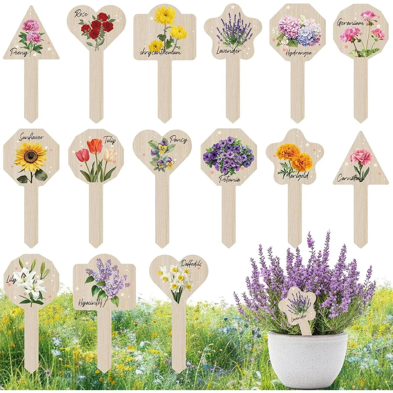 Label Signs- 15PACK Flower  Markers,   Tags for Outdoor Garden , Gardening Supplies with Names, Indoor Patio Tags for Greenhouse  Greenery Seedling