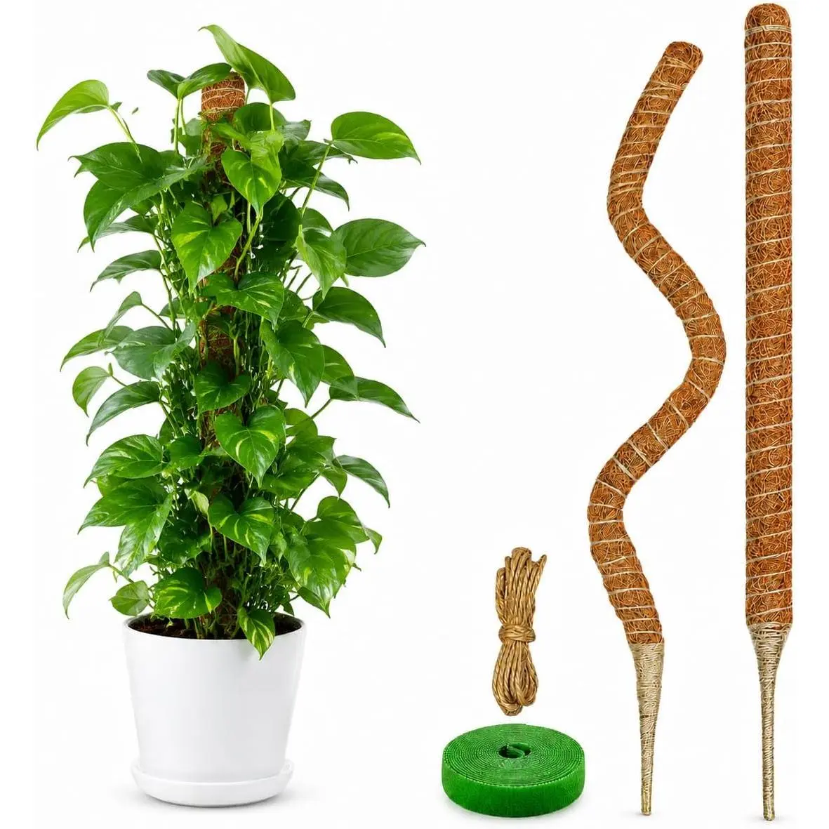 2 Pack Moss Pole for Monstera, 28in Coir Bendable  Support Stakes |  Core Adjustable Monstera  Pole for Climbing Indoor , Philodendron, Pothos