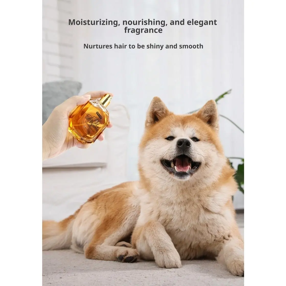 Pet Deodorizing Spray, Long-Lasting Floral Fragrance Perfume for Dogs & Cats, Universal Odor Eliminator, High-Appearance Bottle, 1.7fl oz#rayhaan aquatica#dog products#dog accessories#puppy essentials#cat accessories#cool dog stuff#rayhaan aquatica