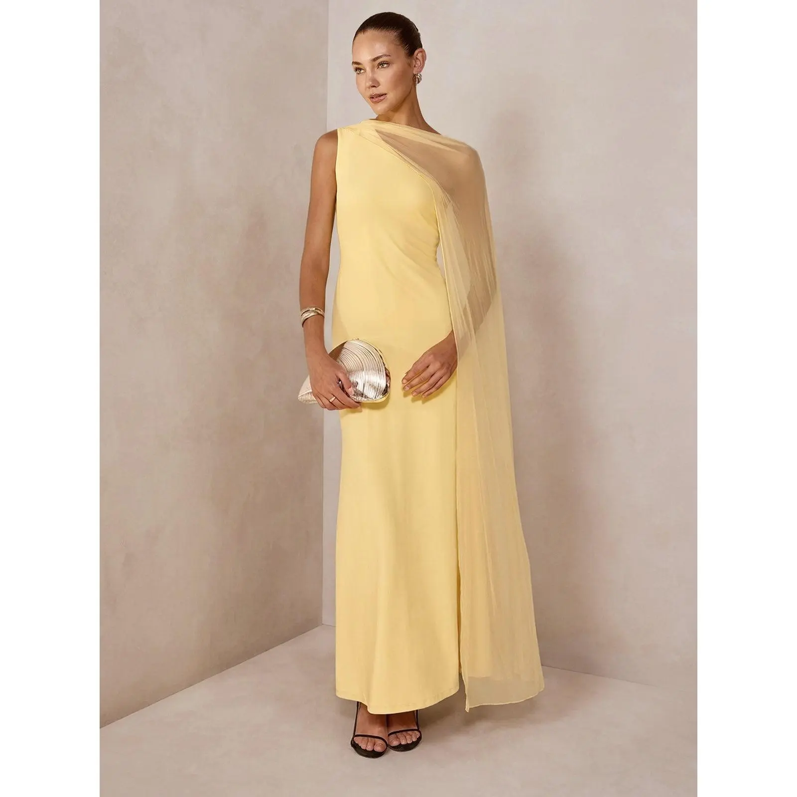Sheer Drape Slim Maxi Evening Dress