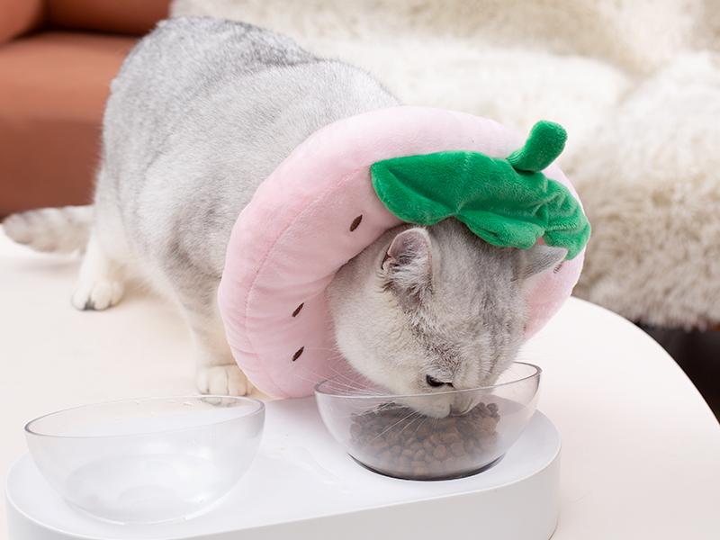 ANWA Adjustable Cat Cone Collar Soft, Cute Cat Recovery Collar, Cat Cones After Surgery for Kittens