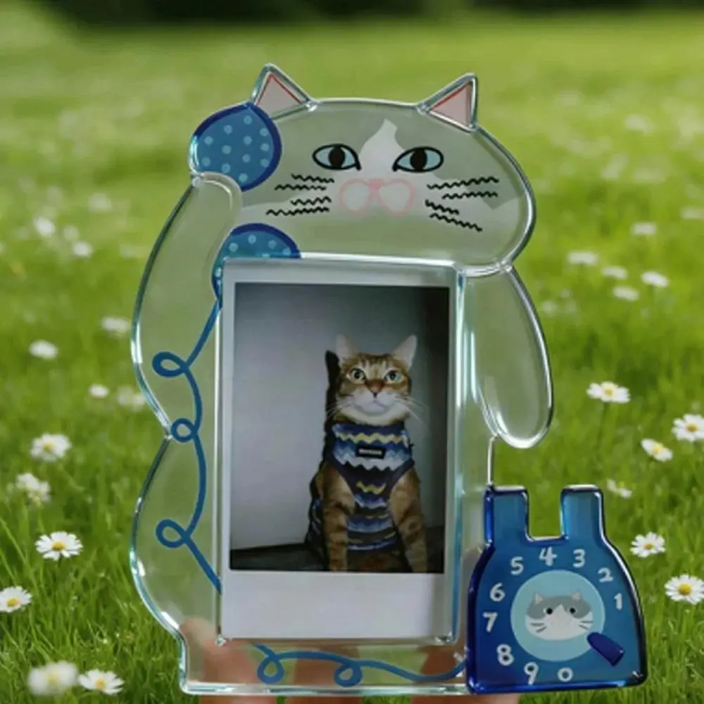 Kitten Photo Frame Acrylic Records Four Seasons Photos High Beauty Photos Polaroid Displays Collections Cartoons Photo Frame New