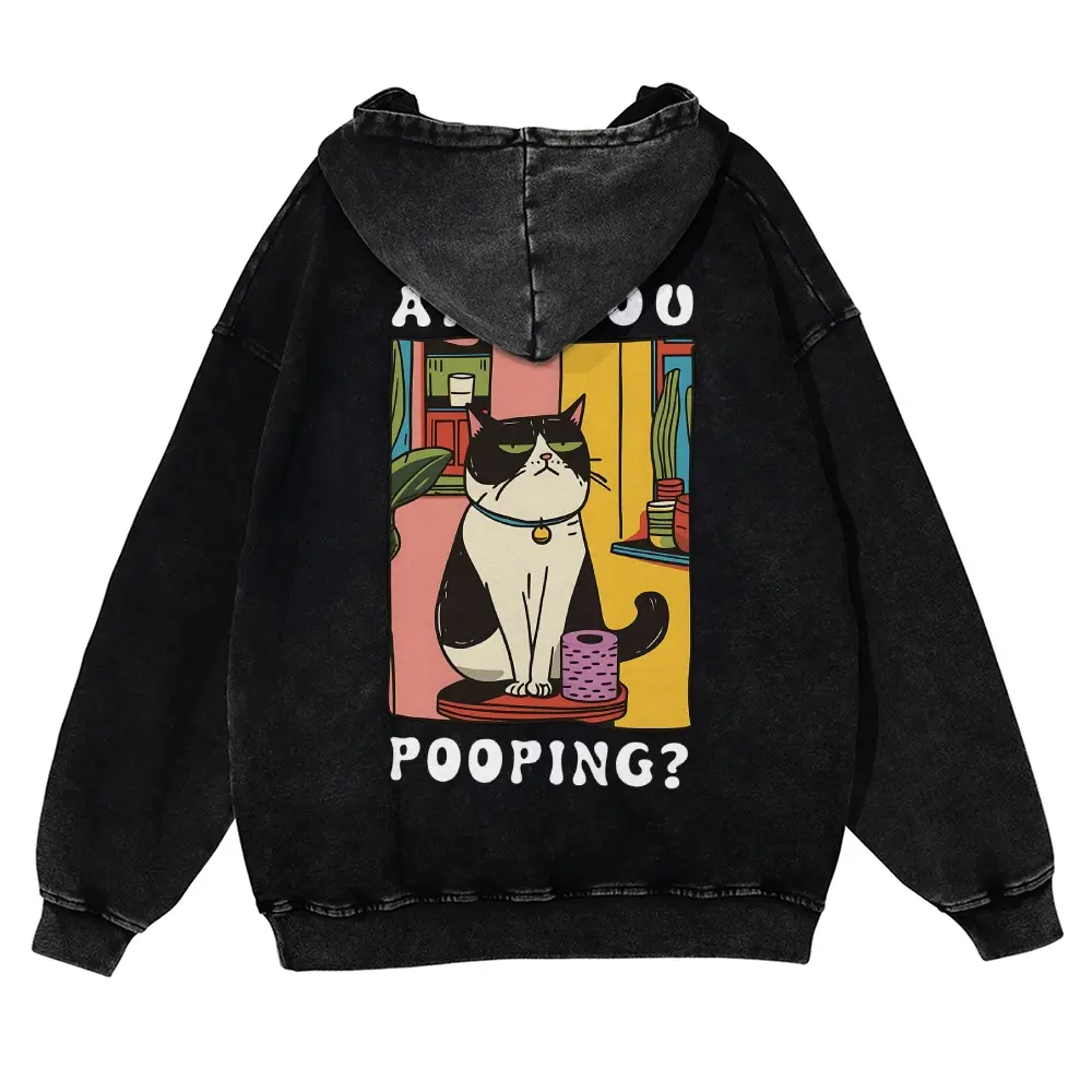 Men's Oversized Vintage Washed Thick Cotton Fabric Hoodie, Casual Tops with "Are You Pooping" Funny Cat Meme Graphic, Heavyweight Acid Wash Pullover Streetwear