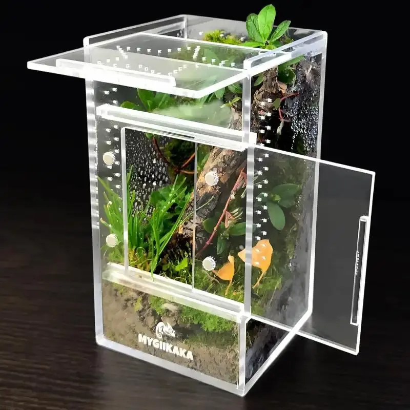 Spider web breeding accessories, spider webs, insect cages, praying mantis habitat breeding boxes, tarantula breeding boxes, caterpillar habitats (3x3x6 inches): Pet supplies