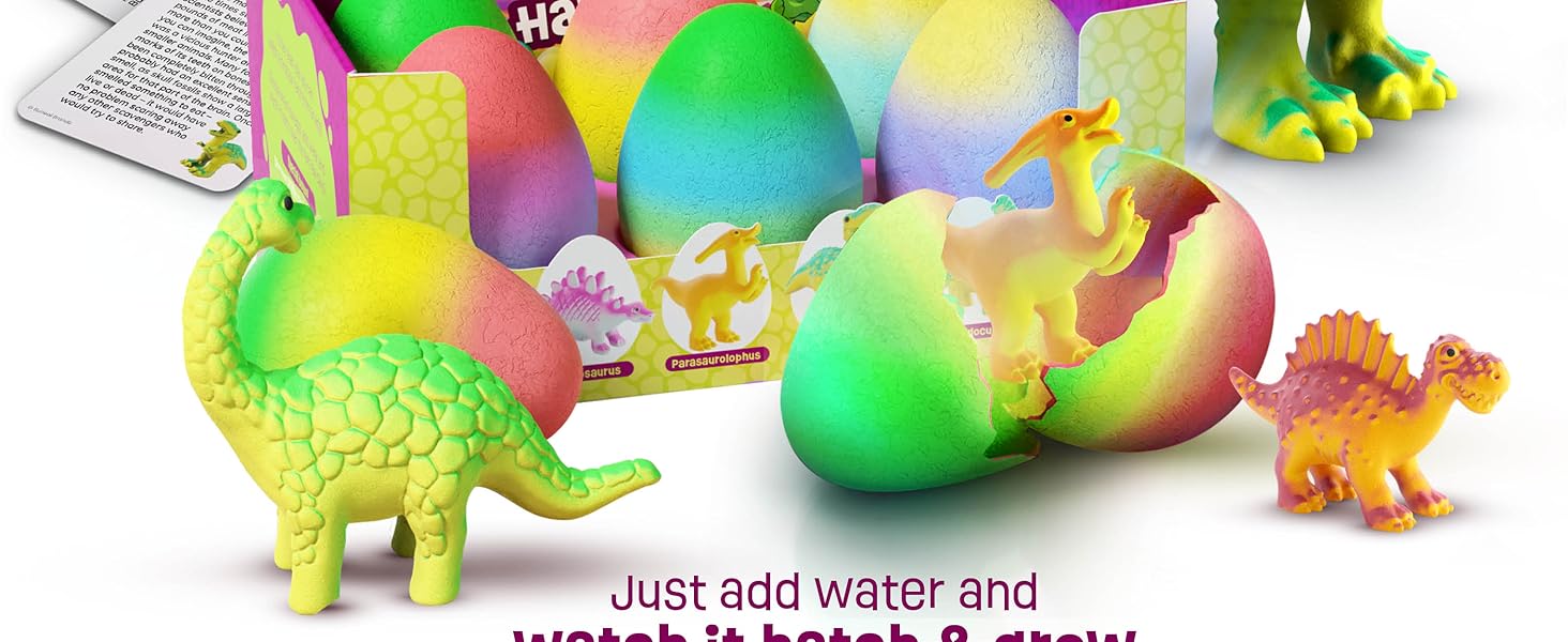 Dan&Darci Dinosaur Hatching Surprise Eggs for Kids - 6 Pack - Grows 600% - Dino Egg Toys for Boys & Girls Age 3-8 - Gift Ideas, Party Favors, Basket Stuffers - Gifts for Girls Ages 3 4 5 6 7 8