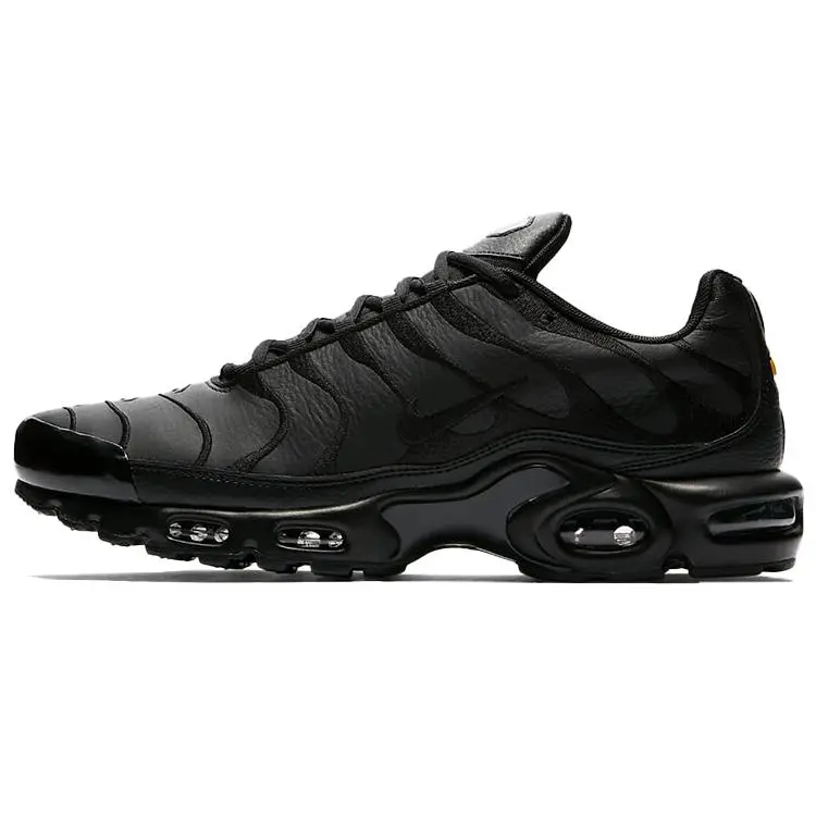 Nike Air Max Plus TN 'Triple Black' AJ2029-001
