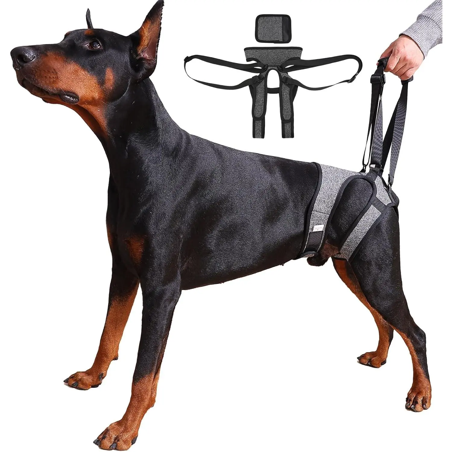 Dog Lift Harness – Adjustable Hind Leg Support Sling for Medium & Large Dogs, Soft Padded Mobility Aid for Senior, Injured & Arthritic Dogs