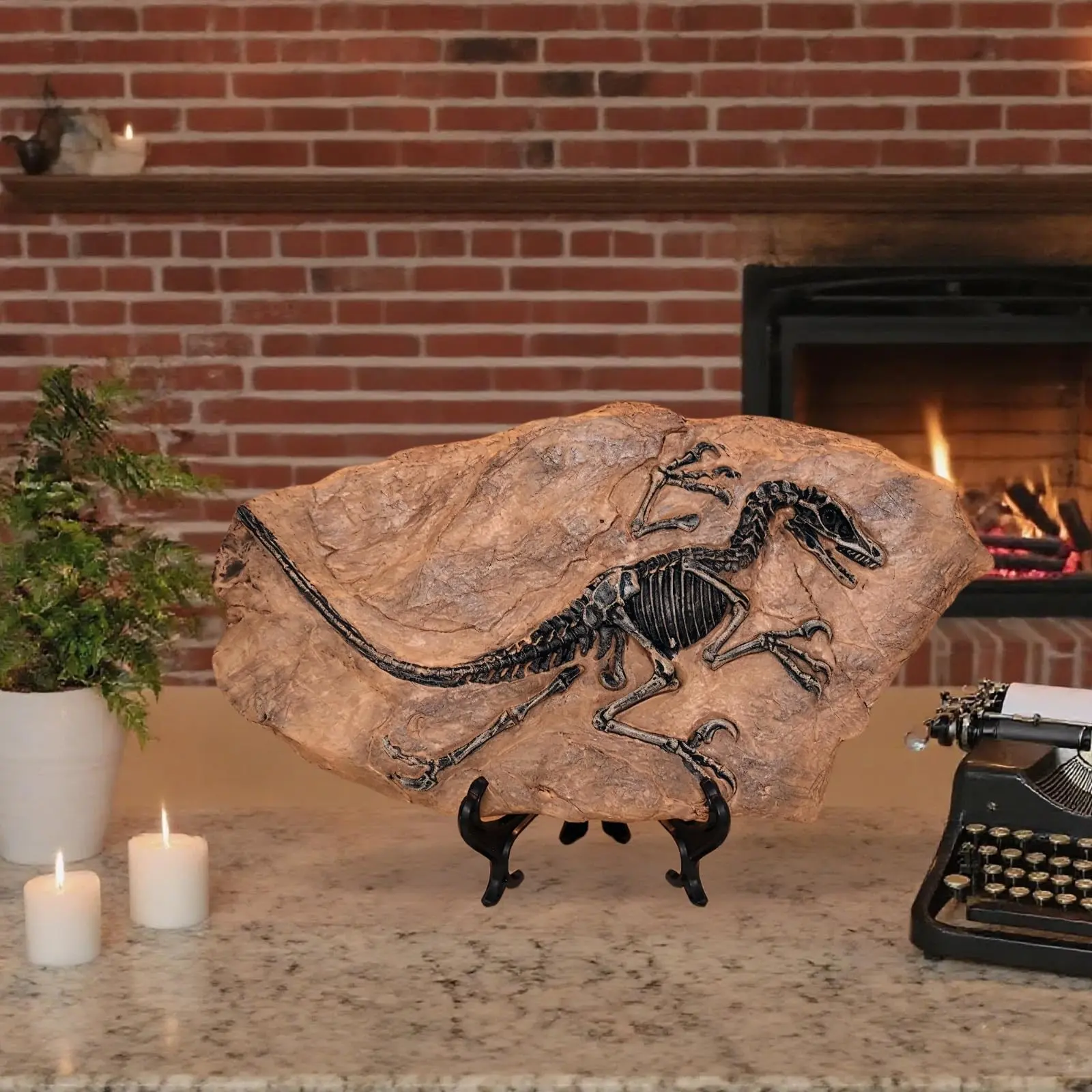 Realistic Velociraptor Fossil Statue, Authentic Dinosaur Skeleton Model, Detailed Prehistoric Replica, Perfect for Collectors and Enthusiasts, Dinosaur Figurine