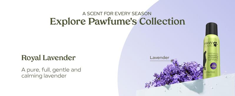 PAWFUME Premium Grooming Spray Dog Spray Deodorizer Perfume for Dogs - Dog Cologne Spray Long Lasting Dog Sprays - Dog Perfume Spray Long Lasting After Bath- Dog deodorizing Spray (Blue Ribbon)