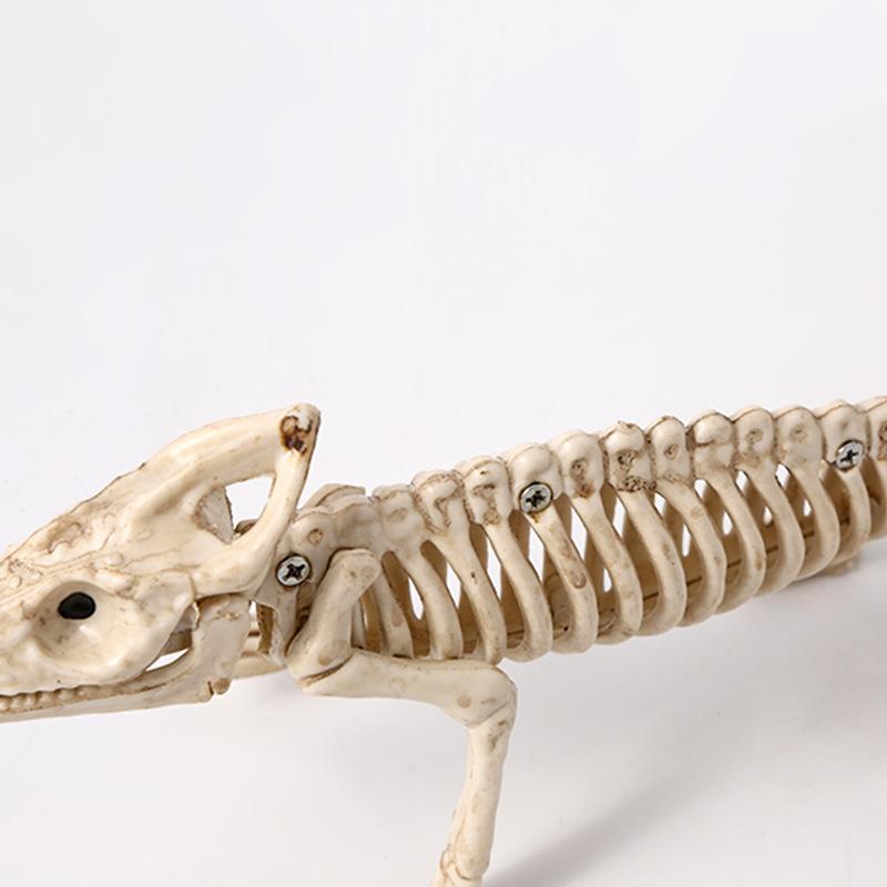 Creative imitation skeleton lizard ornament