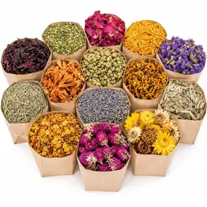 Dried Herbs Kit - Dried Botanicals Bulk,14 Bags Natural Dry Flowers and Herbs for Soap,Candle,Perfume,Bath Bombs,Resin Jewelry Making Supplies,Fragrance Sachet DIY and Witchcraft