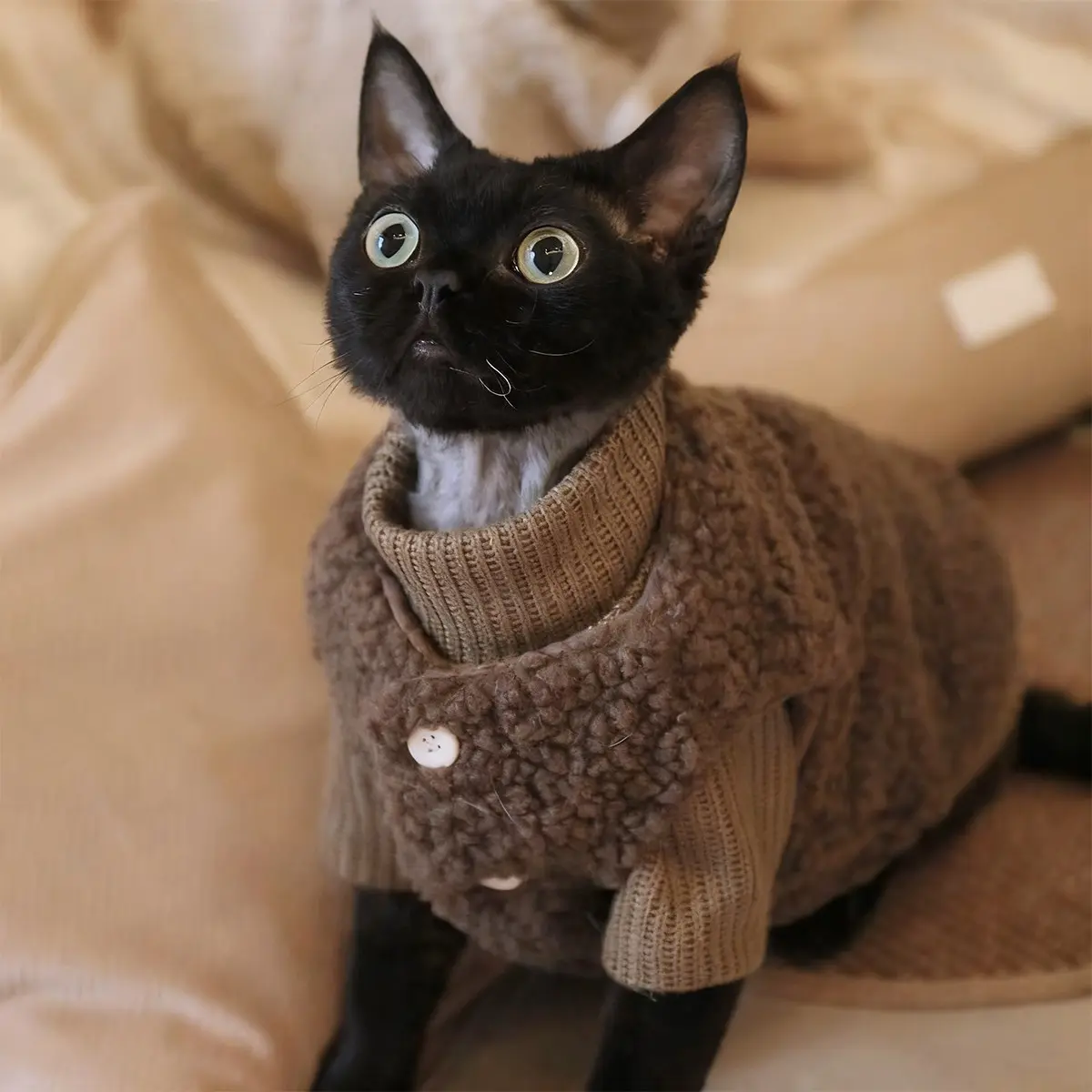 Airless Cat Clothes, Super Cute Furry Pullover, Soft Stretchy Two-Legged Sweater, Warm Cat Jacket for Sphynx & Siamese Kittens, Winter Essential