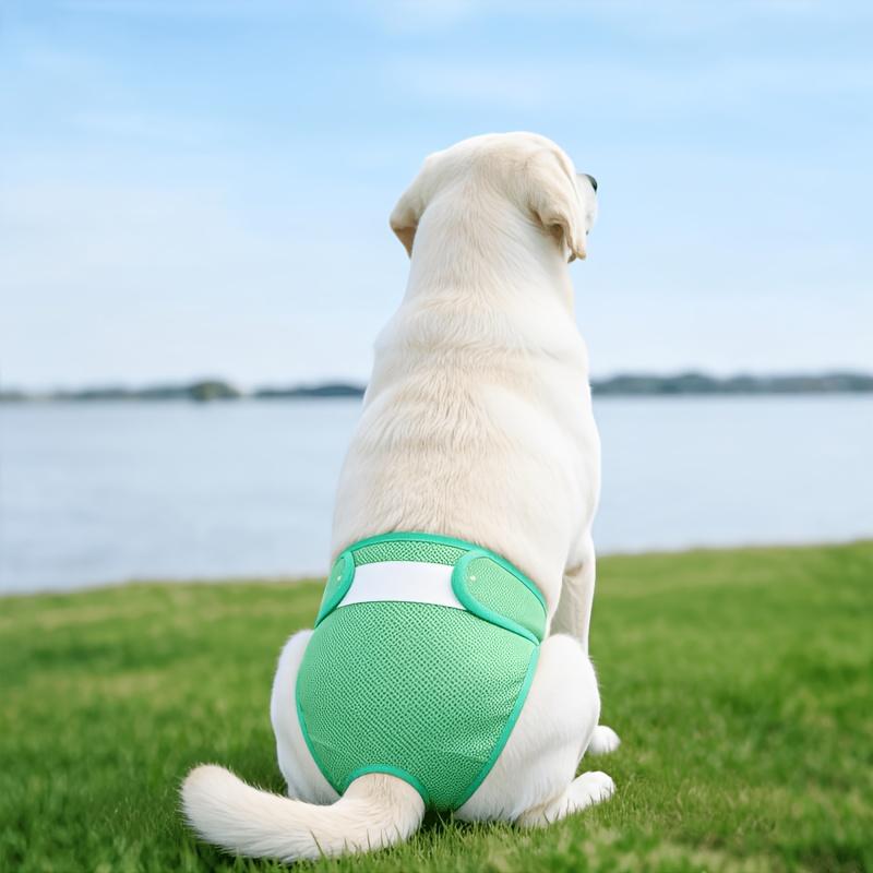 New Pet Female Dog Period Pants in 5 Colors, Comfortable, Leak-proof, and Breathable. Anti-harassment Modesty Pants, Reusable Dog Menstrual Pants, Dog Diapers. Suitable for Small, Medium, and Large Dogs. for All Seasons
