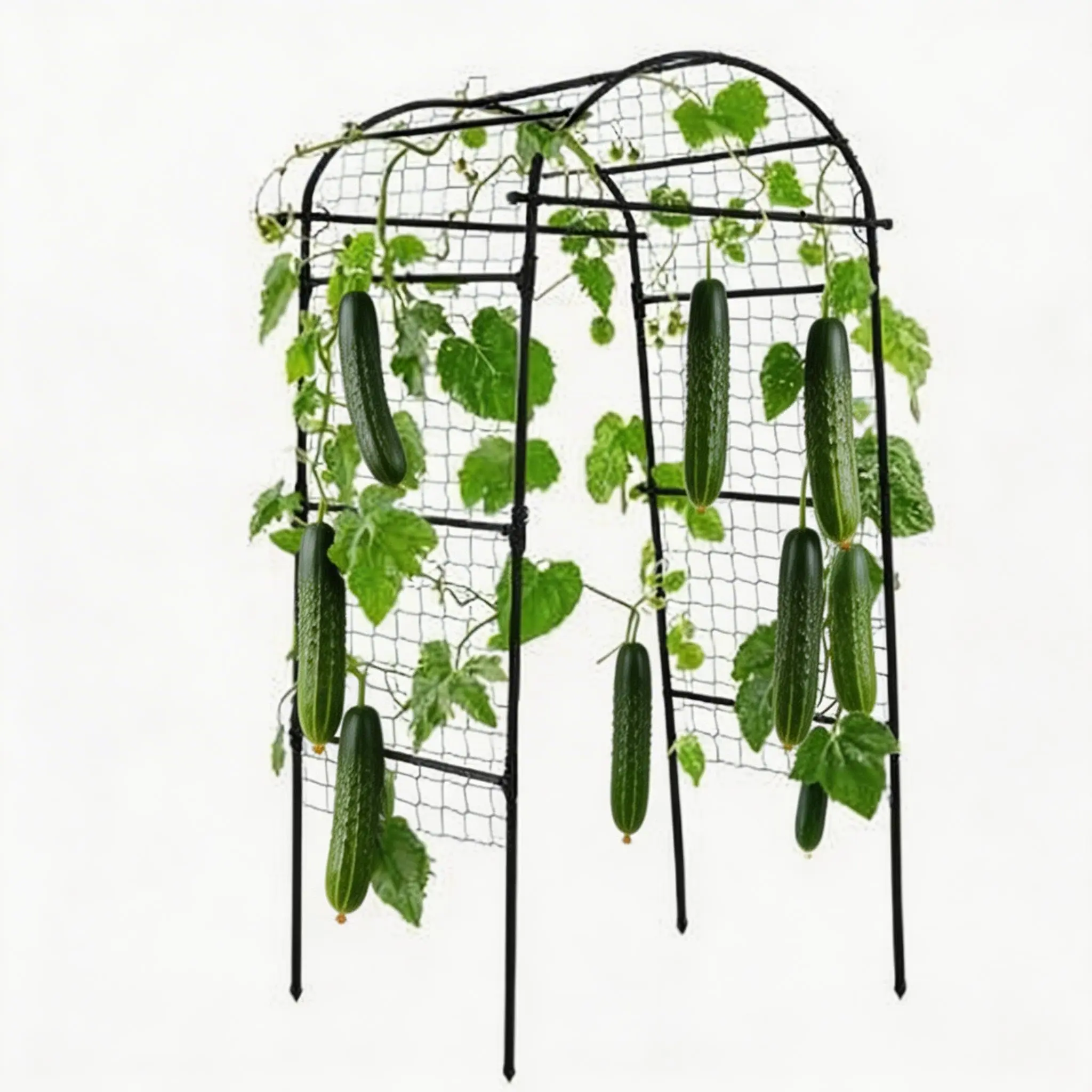 Garden Arch Trellis for Raised Beds, Plant Support for Cucumbers, Melons, Grapes, Roses & Climbing Vegetables, Outdoor Rust-Resistant Trellis for Vertical Growing