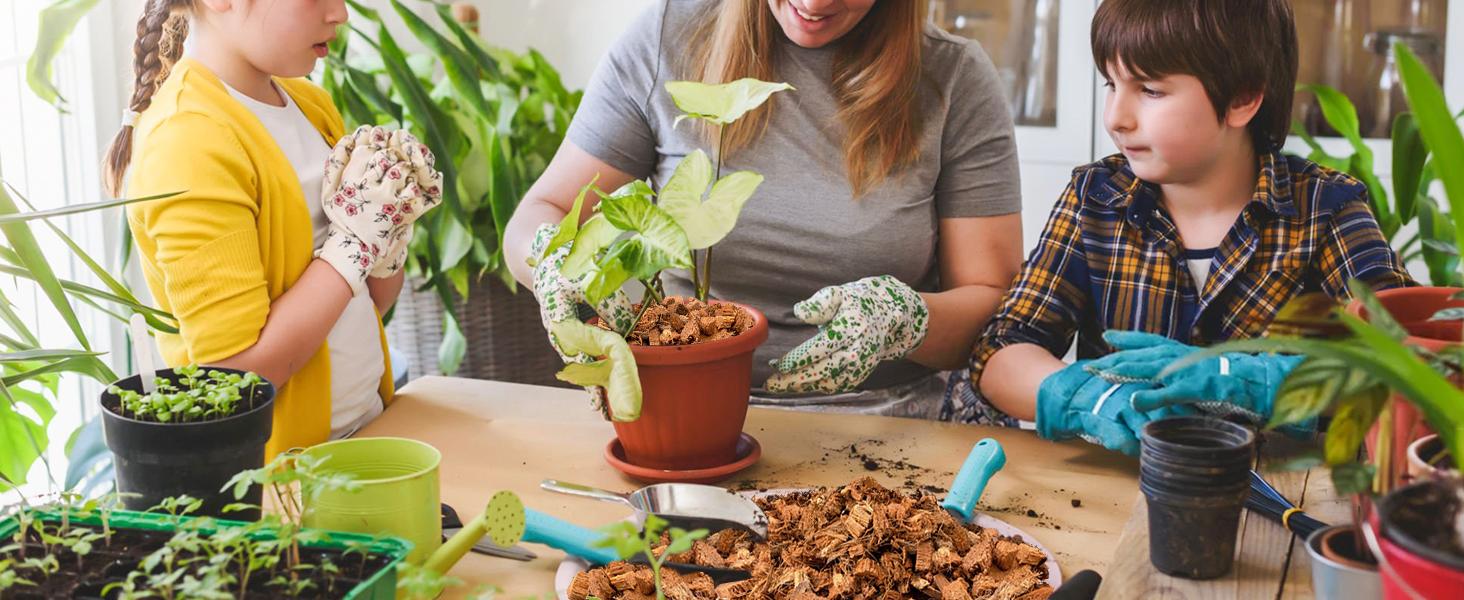 2 Pack Coco Chips Substrate for Plants- 2.2lb 100% Organic Husk Brick with Low EC and pH Balanced, High Expansion Substrate Coco Husk Mulch for Flowers, Herbs, Planting