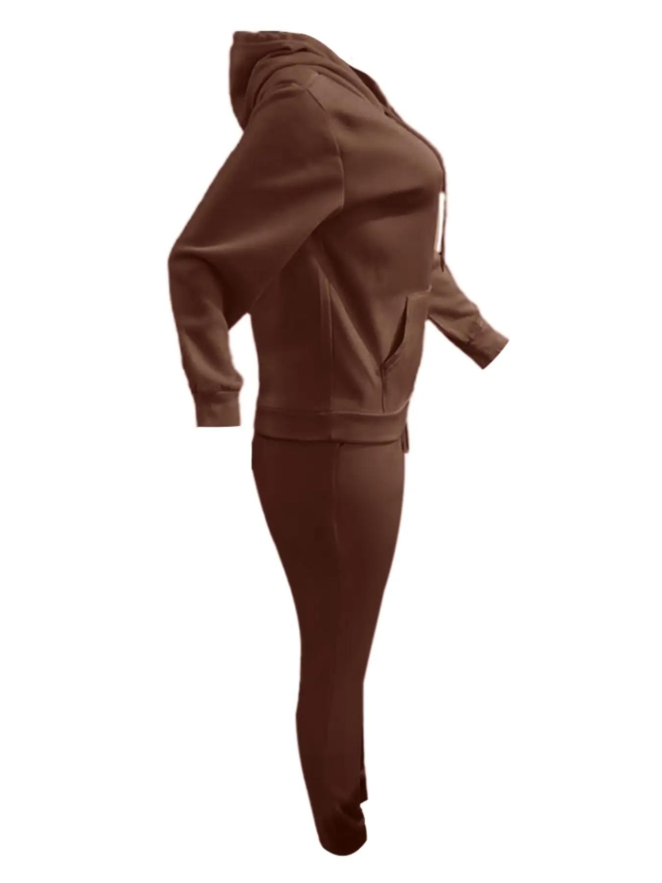 Casual Basic Plain Drawstring Hoodie Sweatshirt Outfit Set, Fitted Regular Length, Moderate Knit Fabric, Fall & Winter Wear, Women's Clothing