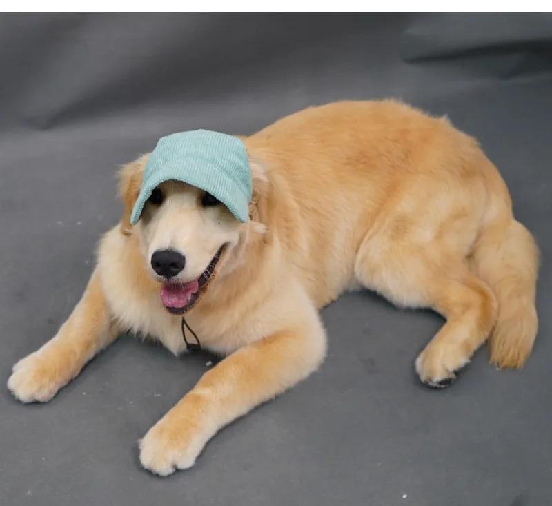 Pet Dog Cap with Ear Holes Adjustable String Dogs Cats Outdoor Peaked Cap Cat Summer Sport Hat For Puppy Small Medium Large Dogs