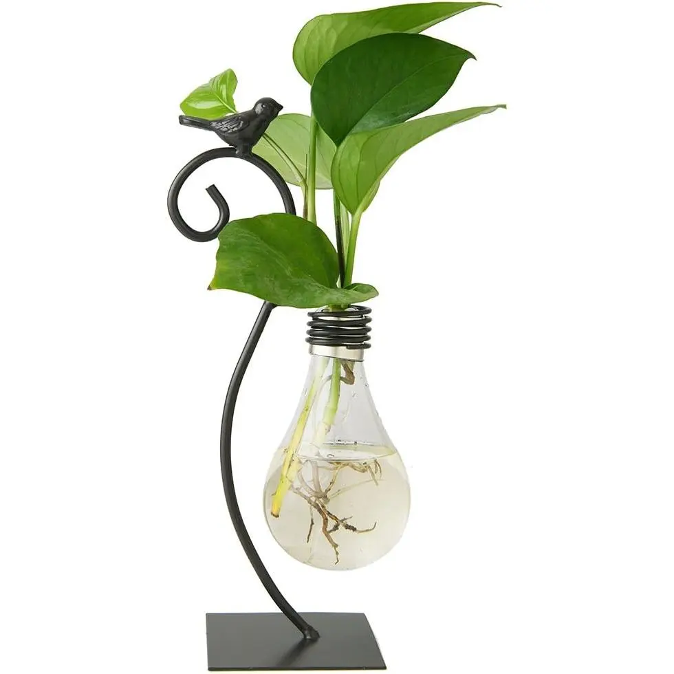 Desktop Glass Planter Hydroponics Vase,Planter Bulb Vase with Holder for Home Decoration,Modern Creative Bird Plant Terrarium Stand, Scindapsus Container (Bulb Vase)