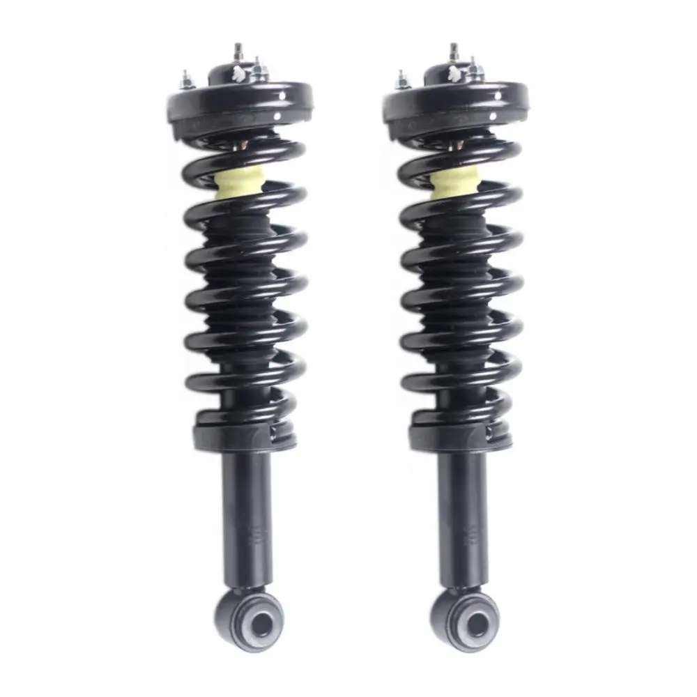 Pair Front Complete Loaded Struts Assembly For 2009-2013 Ford F-150 4WD