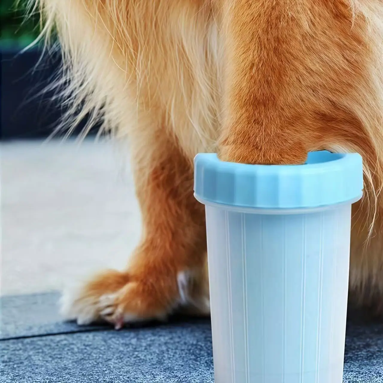 Portable Dog Paw Cleaner, Soft Bristles, Quick & Easy Cleaning, Prevents Mud Entry, Ideal for Home, Car, Daily Use，dog stuff,puppy keep,cachorro feliz