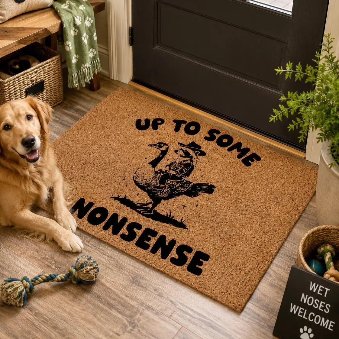 Funny Up To Some Nonsense Raccoon Riding Goose Doormat Diatomaceous Earth Floor Mat 24 x 16 Inch Super Absorbent Quick Dry Non Slip Rubber Backing Rug for Home Entryway Kitchen Decorative Gift Easy Clean