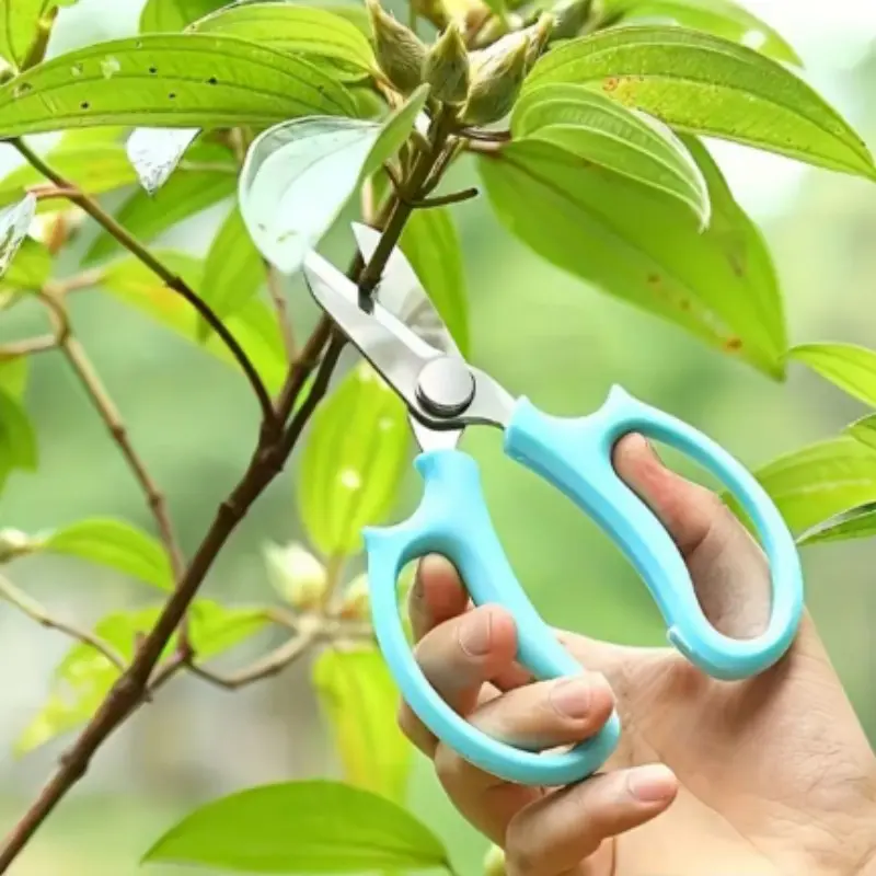 Multi-Functional Cutting Scissors with Comfortable Dual Handle, Alloy Steel Blade, Daily Home Pruning Tool, Professional Gardening Shears for Floral Arrangements
