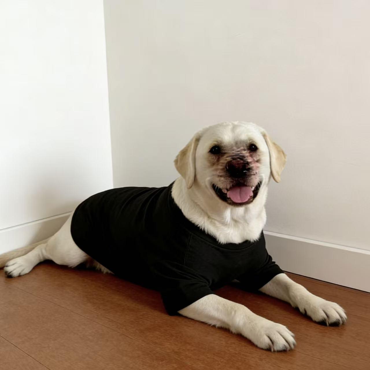 SoPets Summer Cooling Dog Shirts for Large Breeds Labrador Golden Retriever Thin Anti Shedding Shirt Breathable Pet Clothing