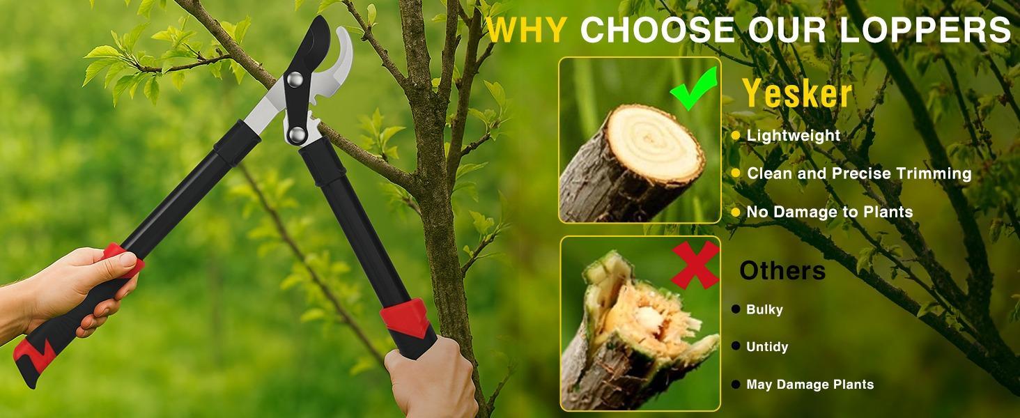 Yesker 19" Loppers Heavy Duty Branch Cutter Sharp Steel Blade Tree Trimmer up to 1" Diameter Cut Capacity Powerful Gear Action Lightweight Bypass Loppers Tools for Tree Trimming Garden Maintenance Yesker 19" Loppers Heavy Duty Branch Cutter Sharp Steel Blade Tree Trimmer up to 1" Diameter Cut Capacity Powerful Gear Action Lightweight Bypass Loppers Tools for Tree Trimming Garden Maintenance