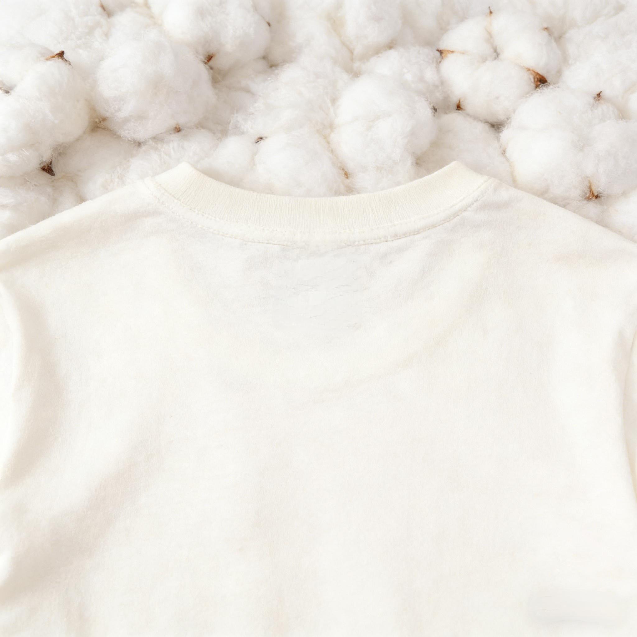 Vintage Radicalized By Basic Decency Unisex T-shirt, Political Protest T-shirt, Feminist Activist Gift, Liberal Clothing, Social Justice Gift