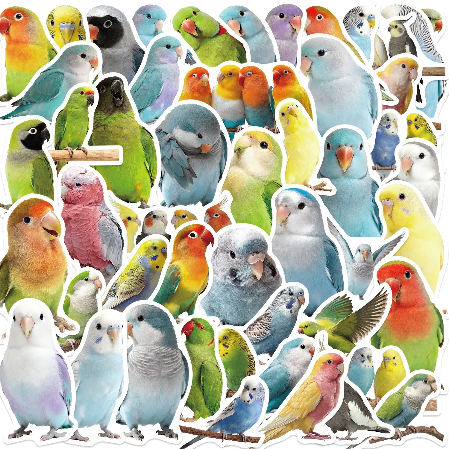 50 Cute Cartoon Parrot Bird Stickers, DIY Decorative PVC Waterproof Stickers for Luggage Skateboard, Fun and Durable Adhesives