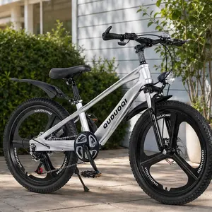 ARCH 20 Inch Kids Mountain Bike 7-Speed Youth Bicycle with Magnesium Alloy Frame and One-Piece Wheels Lightweight Boys and Girls Bike for Ages 8-12 Silver Aluminum Alloy Classic Cycling Outdoor Riding, Silver Color Options, Aluminium Alloy Material