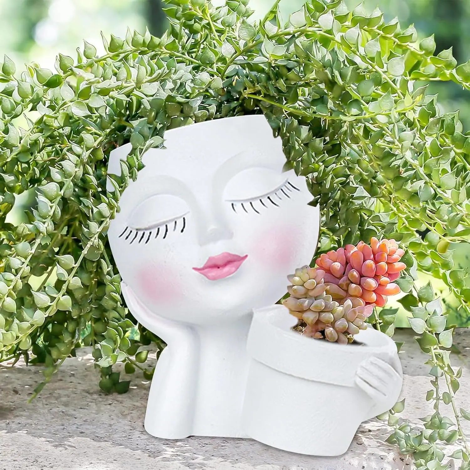 Planter  Planter Succulent  Drainage Holes White | Decorative  planter for  and cactus with two planting areas for desk, shelf, and windowsill display
