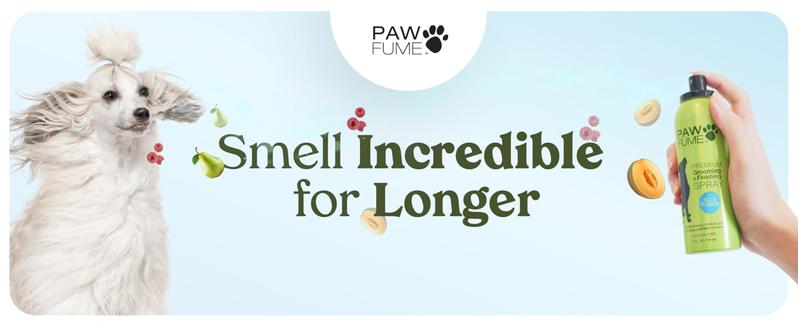 PAWFUME Premium Grooming Spray Dog Spray Deodorizer Perfume for Dogs - Dog Cologne Spray Long Lasting Dog Sprays - Dog Perfume Spray Long Lasting After Bath- Dog deodorizing Spray (Blue Ribbon)