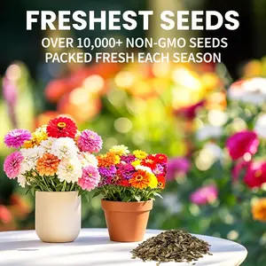 Zinnia Seeds for 2026 Planting Outdoors, Over 10000+ Mixed Color Flower Seeds, Non GMO, Made in USA, Bulk Semillas de Flores para Sembrar, California Giants Mix, Easy to Grow Zinnia Seed Mix