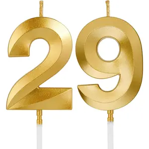 1.96 Inch Number 29 Happy Birthday Candles Champagne Gold Number Candles Decoration for Birthday Party and Anniversary Celebration