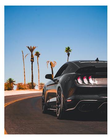 Rear Trunk Spoiler Compatible with 2014-2021 BMW F22 2 Series 2 Door Coupe Model Only 2016-2021 F87 M2 Model Wing Lip Rear Trunk Lid Duckbill Spoiler Gloss Black