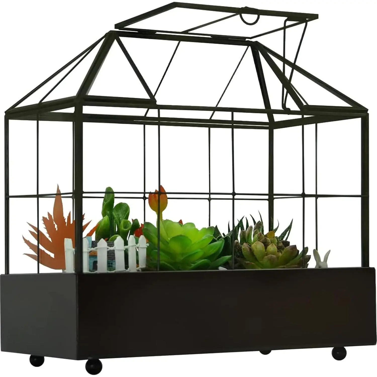 Large Tall  Terrarium Glass Greenhouse with Lid and Tray, Indoor Tabletop Orchid Succulent Cacti Kit 9.5'X9.8'X5.6'