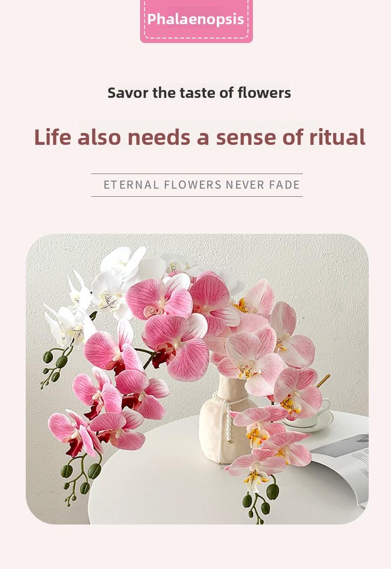 9 artificial Phalaenopsis orchids with a luxurious feel, suitable for decorating the living room, dining table, entrance, and wedding room